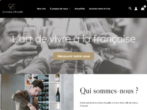 Capture d'écran de la page d'accueil du site Domaine d'Ecuelle